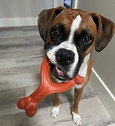 Nylabone Ergonomic Hold Wishbone Power Chew Toy for
