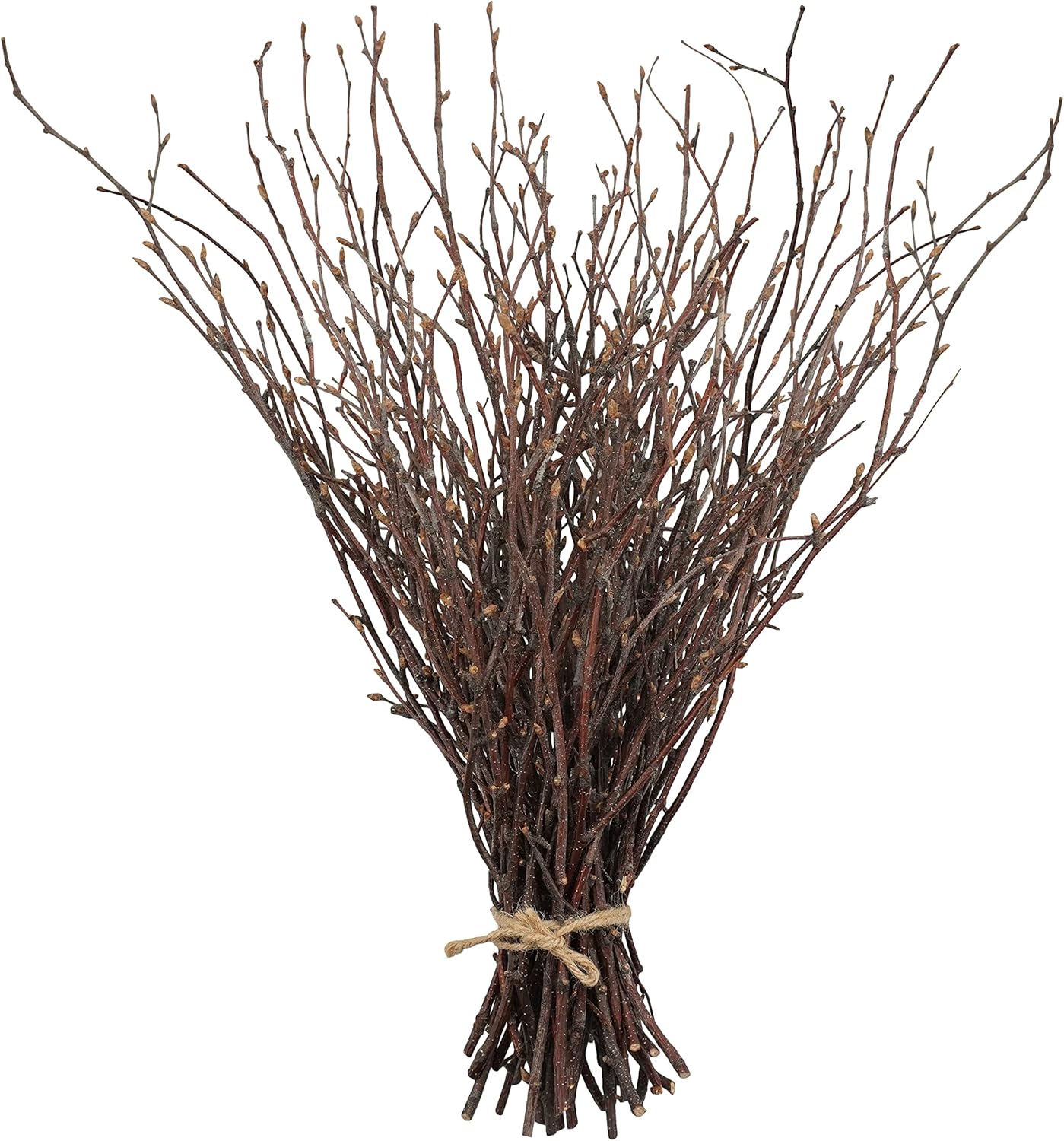 Vase Fillers - Uieke 50PCS Birch Twigs – 17 Inch Natural Dried Plants Decorative Birch Branches for DIY Crafts, Birch Sticks for Vases Wedding Arrangements Home Wreath Decor