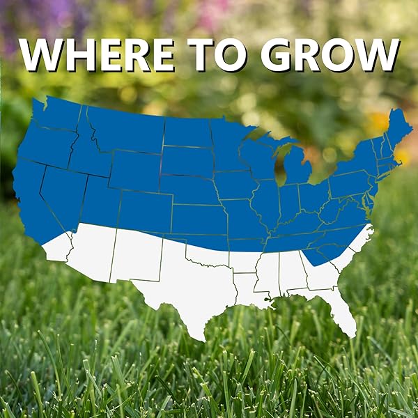 JONATHAN GREEN (12005) BLACK BEAUTY SUN & SHADE GRASS SEED – COOL SEASON LAWN SEED (7 LB)