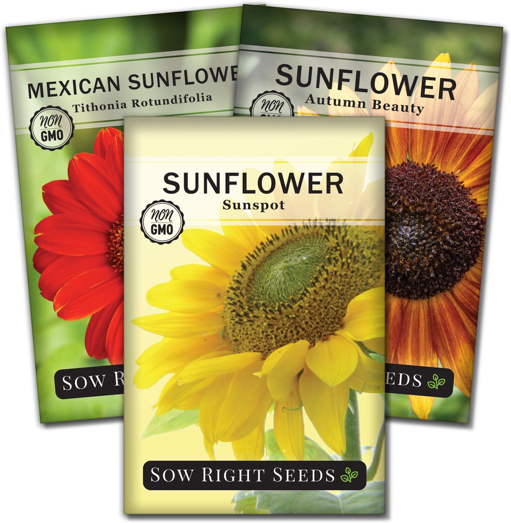 Sow Right Seeds - Sunflower Seed Collection for Planting - Includes Three Varieties: Autumn Beauty, Sunspot, and Mexican Sunflower - Wonderful Gardening Gift