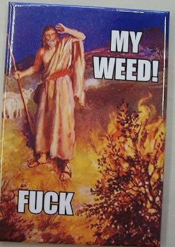 [Image: 81YoEFPM40L._SY355_.jpg]