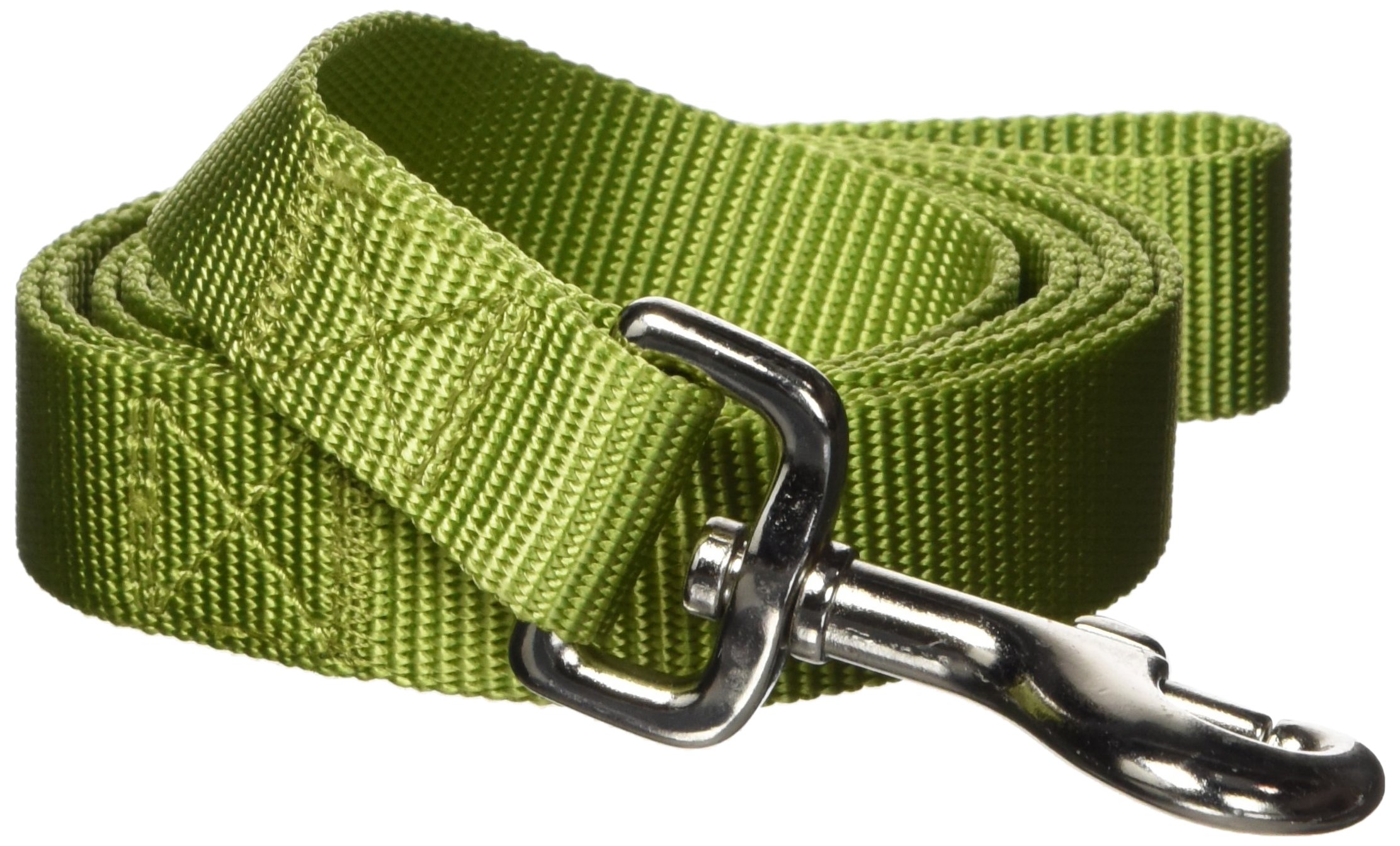 Zack & Zoey Basic Nylon Dog Leash, 6-Feet x 1-Inch Lead, Parrot Green
