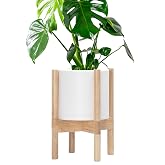 D'vine Dev Plastic Pot with Natural Wood Stand, White, 8 in, 55-C-J-1 | Mid-Century Inspired Design, Elevated Plant Display,