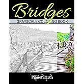 Bridges Grayscale Coloring Book: Beautiful Bridges in the Forest. Grayscale Coloring Book for Adults.