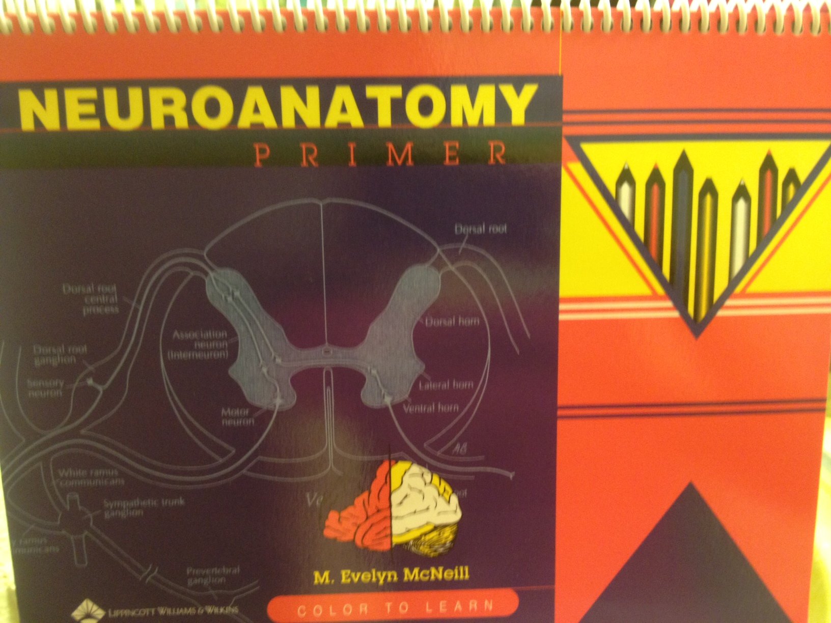 Neuroanatomy Primer W/12 Pencils