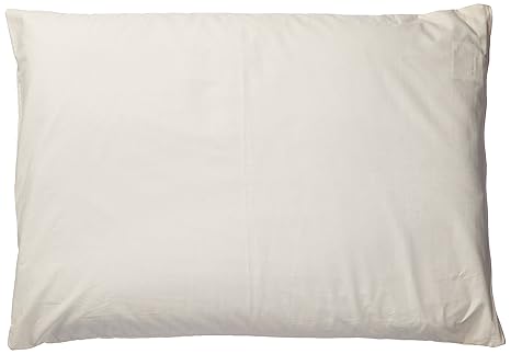 Buy Natures Pillows Sobakawa Buckwheat Pillow With Free Pillow