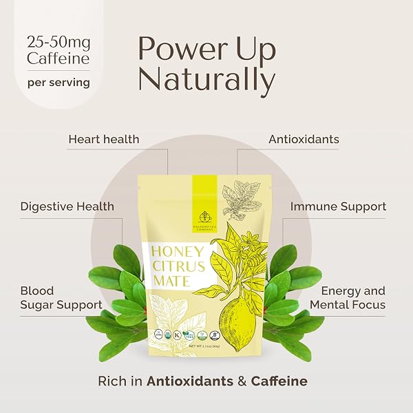 PALERMO ORGANIC YERBA MATE TEA BAGS 50 COUNT – HONEY CITRUS MATE INFUSED WITH GINGER & TURMERIC, ENERGIZING ZESTY FLAVOR, NATURAL HONEY SWEETNESS, RICH IN ANTIOXIDANTS, UNSMOKED, VEGAN, GLUTEN-FREE