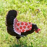 zwxqe Hen Saddle Waterproof Apron Chicken Poultry Protector Comfortable Feather view 3