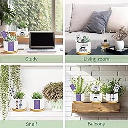 Funny TV Show Planter Pots,TV Show Merchandis Gifts
