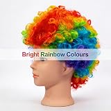 SHATCHI Afro Wig Curly Rainbow Fancy Dress Unisex 60s 70s 80s Costume view 2
