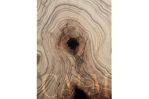 Neutral Calm: Oversized Decorative Coffee Table Book, Subtle Reminder For Inner Peace, Tranquil Decor For Your Living Room, 400 Numbered Dot Grid Pages