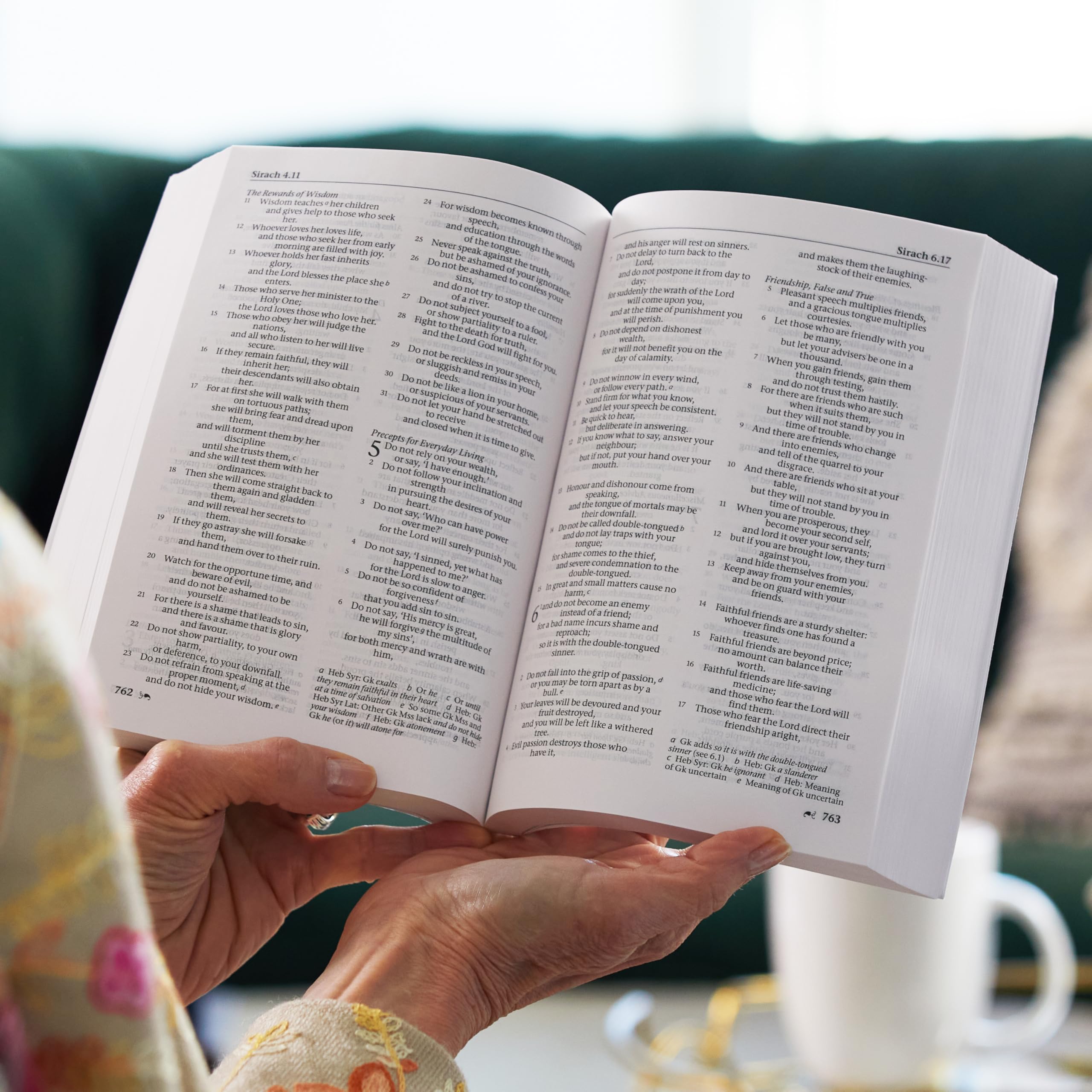NRSV, Catholic Edition Bible, Hardcover, Hillside Scenic: Holy Bible NRSV, Catholic Edition Bible, Hardcover, Hillside Scenic: Holy Bible Hardcover Paperback
