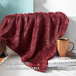 Exclusivo Mezcla Plush Fuzzy Fleece Throw Blanket