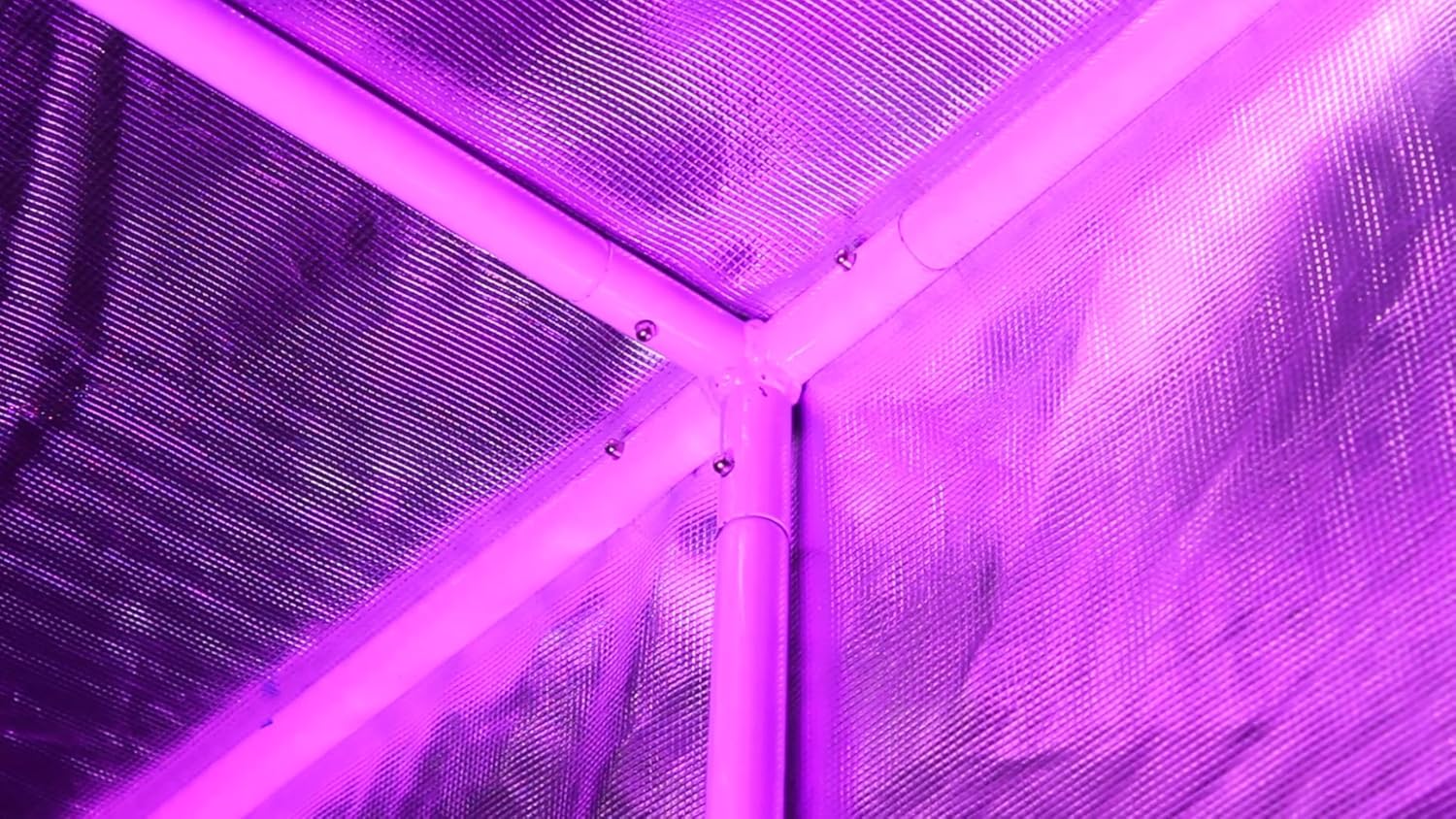 Best Grow Tent For 4 Plants