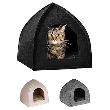 kitten beds amazon