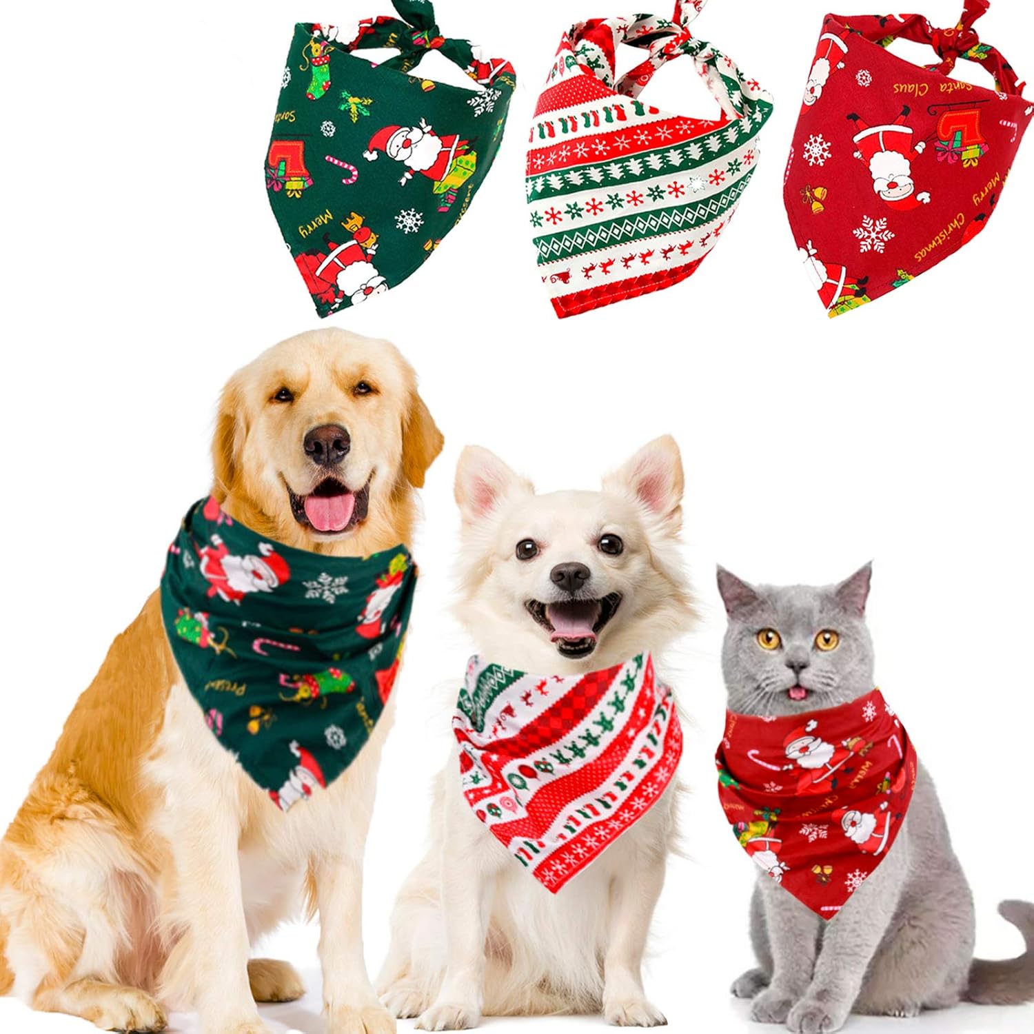 dog and cat accessories