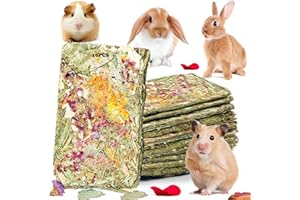 YTSKJ Rabbit Toys 10 Pack Bunny Toys Bunny Chew Toy Guinea Pig Treats Timothy Hay Toy Chips with Herbal Flowers Timothy Hay Grass Hamster Snacks Chinchillas Gerbils for Small Animals Teeth