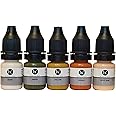 Permanent Make-up Pigment, Brow Ink Color Set for Camouflage,PMU Corrections Professional Medical-Grade Tattoo Ink, Works with Permanent Machine&Microblading, 5 ml (Set Of 5) by Biocutem 0.17oz/bottle