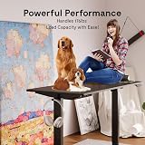 FLEXISPOT Electric Standing Desk Height Adjustable 100x60cm Black Frame view 8