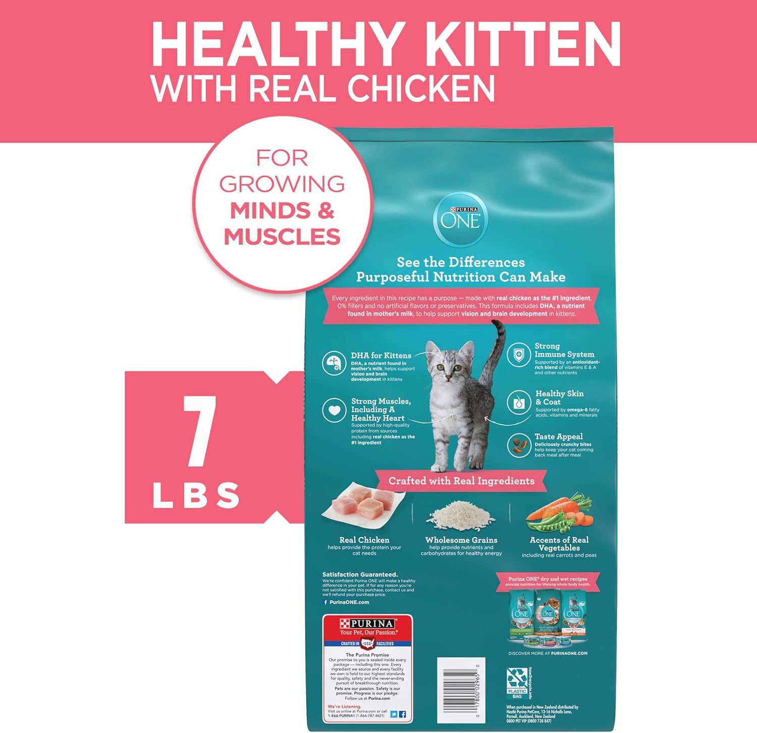 healthy kitten formula