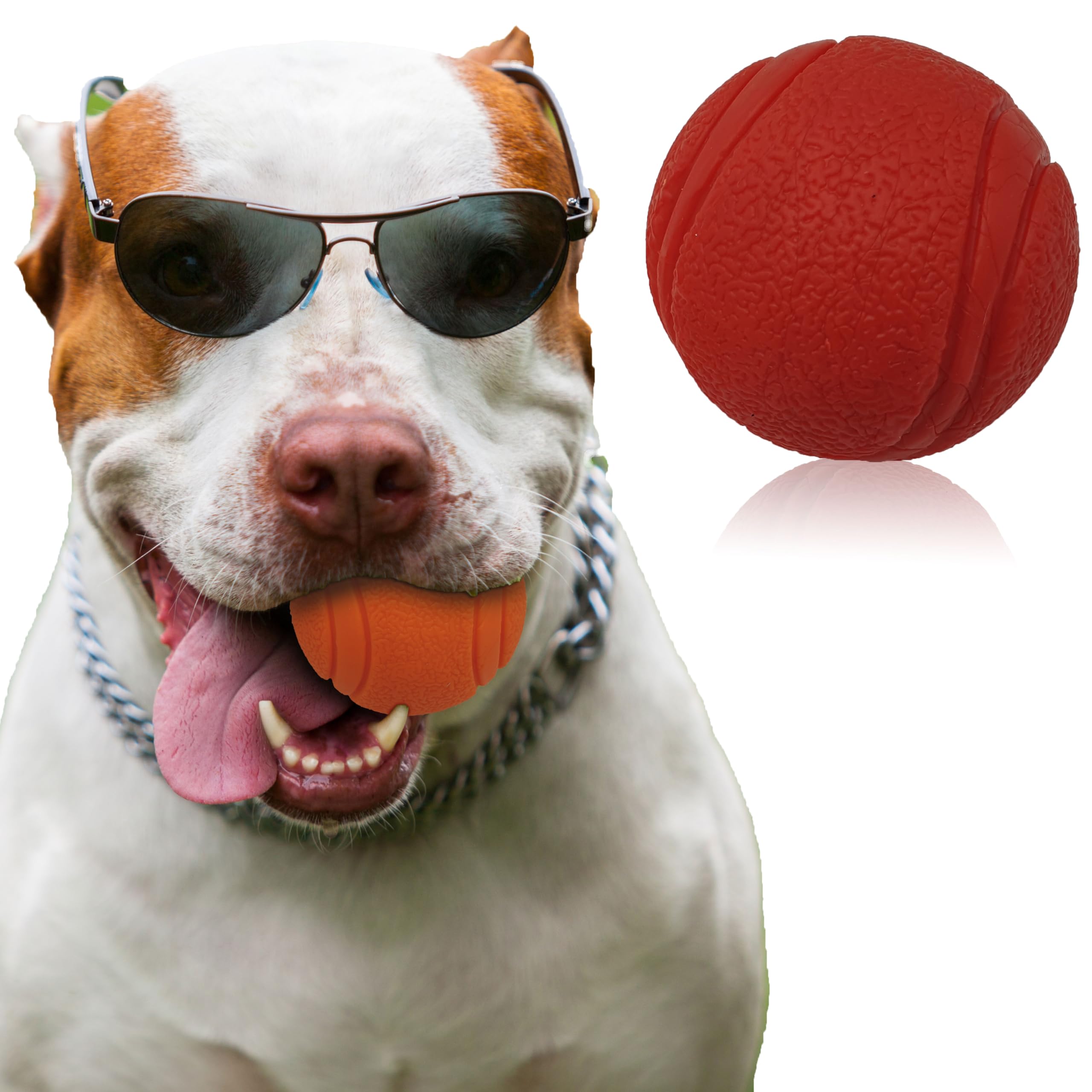 Pet Touch 6cm Solid Core Rubber Ball HIGH BOUNCING Dog Toys Indestructible Virtually Tough Dog Toys Interactive Dog Toys Strong Rubber Balls for dogs (Medium(60mm), Red)