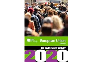 EIB Group Survey on Investment and Investment Finance 2020: EU overview