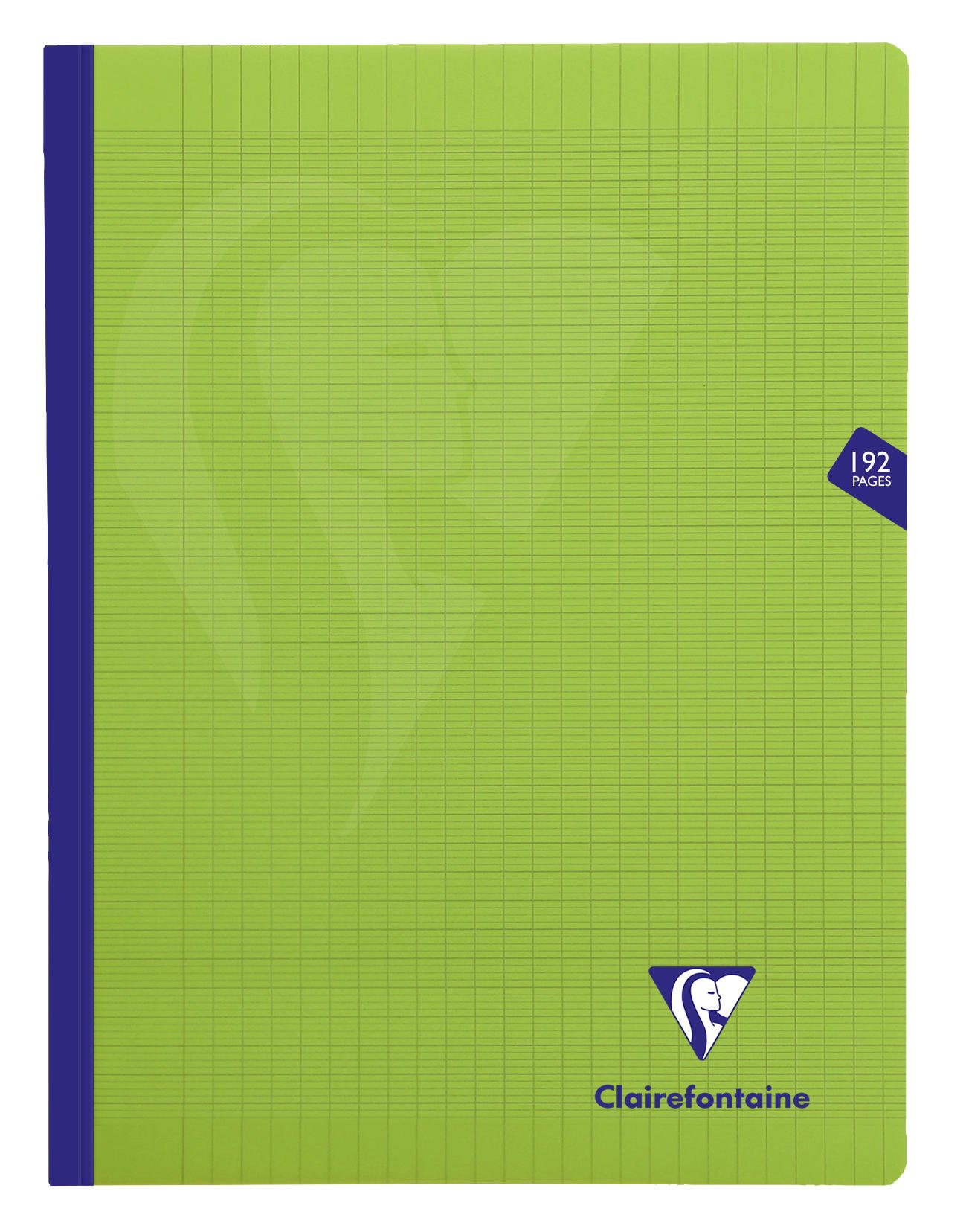 Clairefontaine 359341C - One Green Mimesys Thread Stitched Notebook - Dimensions: 24 x 32 cm - 192 Seyes Ruled Pages - White Paper 90 g - Polypro Cover
