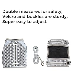 pangdi Cat Harness and Leash Escape Proof Cat Leash