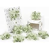 HUIHUANG Green Bows for Gift Wrapping Sage Green Gift Bows 5 inch x 8 Counts Self-Adhesive Curly Ribbon Bow for Presents, Paper Bag, Baby Shower Favors, Wrapping Accessories, Wedding Decor