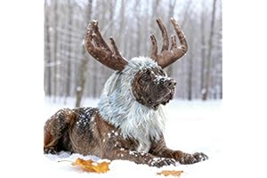 Onmygogo Funny Pet Reindeer Moose Costumes for Dog, Cute Furry Pet Wig for Halloween Christmas, Pet Clothing Accessories