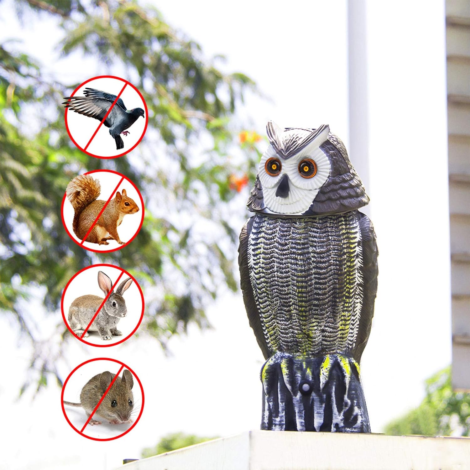 Redeo Solar Powered Owl Decoy Scarecrow Bird Repellent Rabbit Repeller with Flashing Eyes & Scary Sound & Rotating Head 10-16 ft Motion Activated : Garden & Outdoor