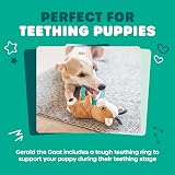 Webbox Gerald the Goat Plush Squeaky Dog Toy with Teething Ring view 2