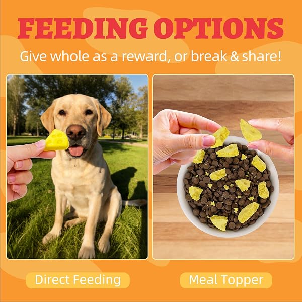 WELLIX FREEZE-DRIED CHEESE TREATS FOR DOGS & CATS 7.41OZ – TRAINING SNACKS