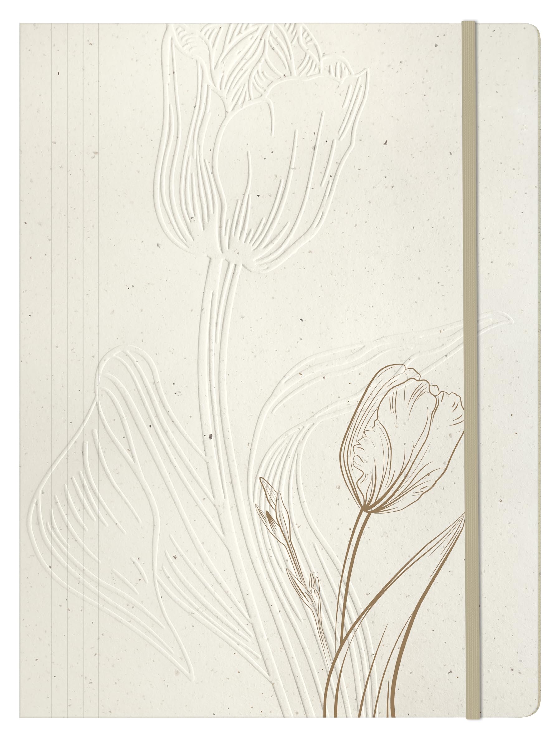 Clairefontaine 813073C Tulip Paper Portfolio Folder with Elastic Closure for DIN A4 Documents, 24 x 32 cm, Pack of 1, Random