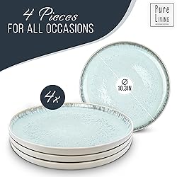 Stoneware Dinner Plates Set of 4, Modern Style