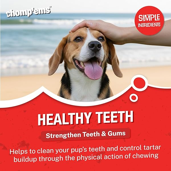 CHOMP’EMS NATURALLY DELICIOUS BULLY STICKS – LONG LASTING NO HIDE DOG CHEWS – NO ARTIFICIAL FLAVORS, COLORS, OR PRESERVATIVES – PROTEIN RICH ALTERNATIVE TO RAWHIDE, 8 OZ.