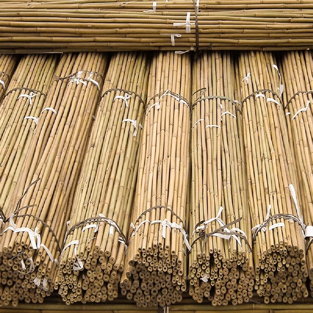 FlickBuyz Gardens Strong Bamboo Canes 10x 6ft 10-12mm Heavy Duty