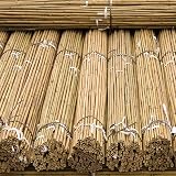FlickBuyz Gardens Strong Bamboo Canes 10x 6ft 10-12mm Heavy Duty