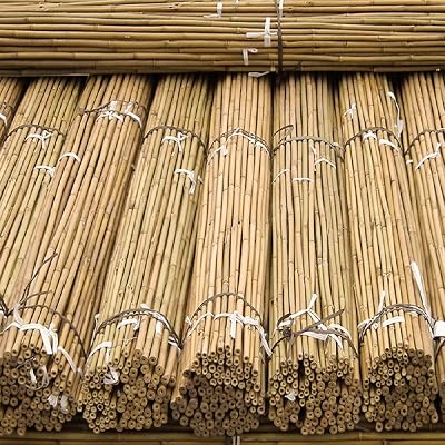 FlickBuyz Gardens Strong Bamboo Canes 10x 6ft 10-12mm Heavy Duty