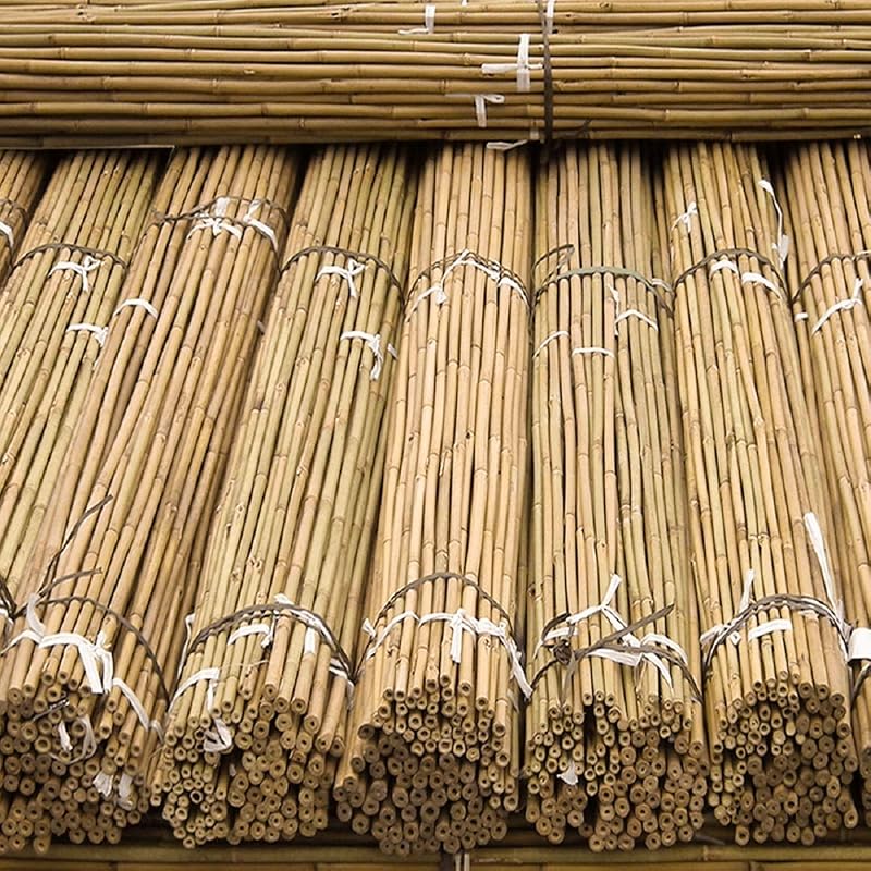 FlickBuyz Gardens Strong Bamboo Canes 10x 6ft 10-12mm Heavy Duty