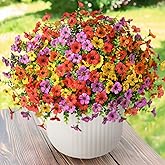 ZFProcess Artificial Flowers Faux Plants Outdoor Fake Flowers Spring Decor,12 Bundles Realistic Plastic Plant Colorful Daisy UV Resistant for Porch Patio Home Yard Garden Window Box Pot Planters