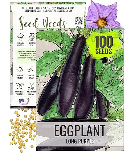 Amazon.com : Eggplant Seeds - Black Shine - Hybrid - 500 Mg
