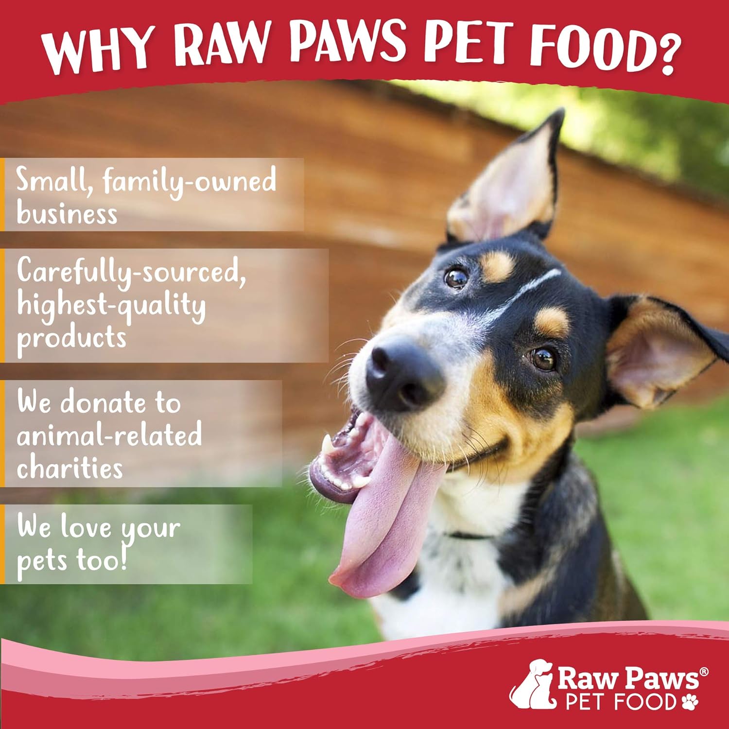 mr raw dog and cat food