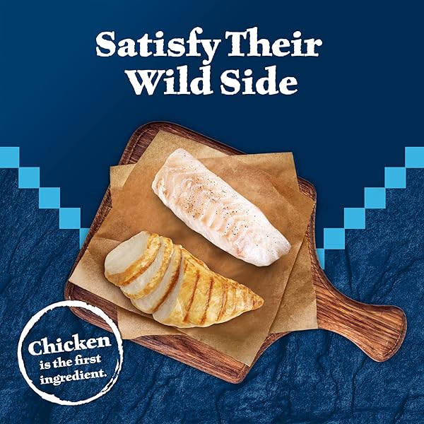 BLUE BUFFALO WILDERNESS SOFT CAT TREATS, MADE WITH NATURAL INGREDIENTS, CHICKEN & TROUT RECIPE, 2-OZ BAG