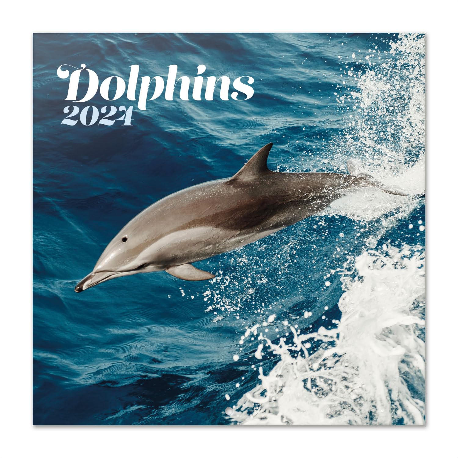 Grupo Erik Dolphins Wall Calendar 2024 12" x 12" | 12 Month Planner | Square Wall Calendar 2024 | Family Planner Calendar 2024 | Dolphin Calendar 2024 | Dolphin Gifts