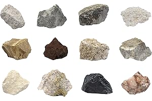 12 Piece Introduction to Sedimentary Rocks Kit - Includes 1" Specimens - Great for Geology Classrooms & Basic Field Testing L