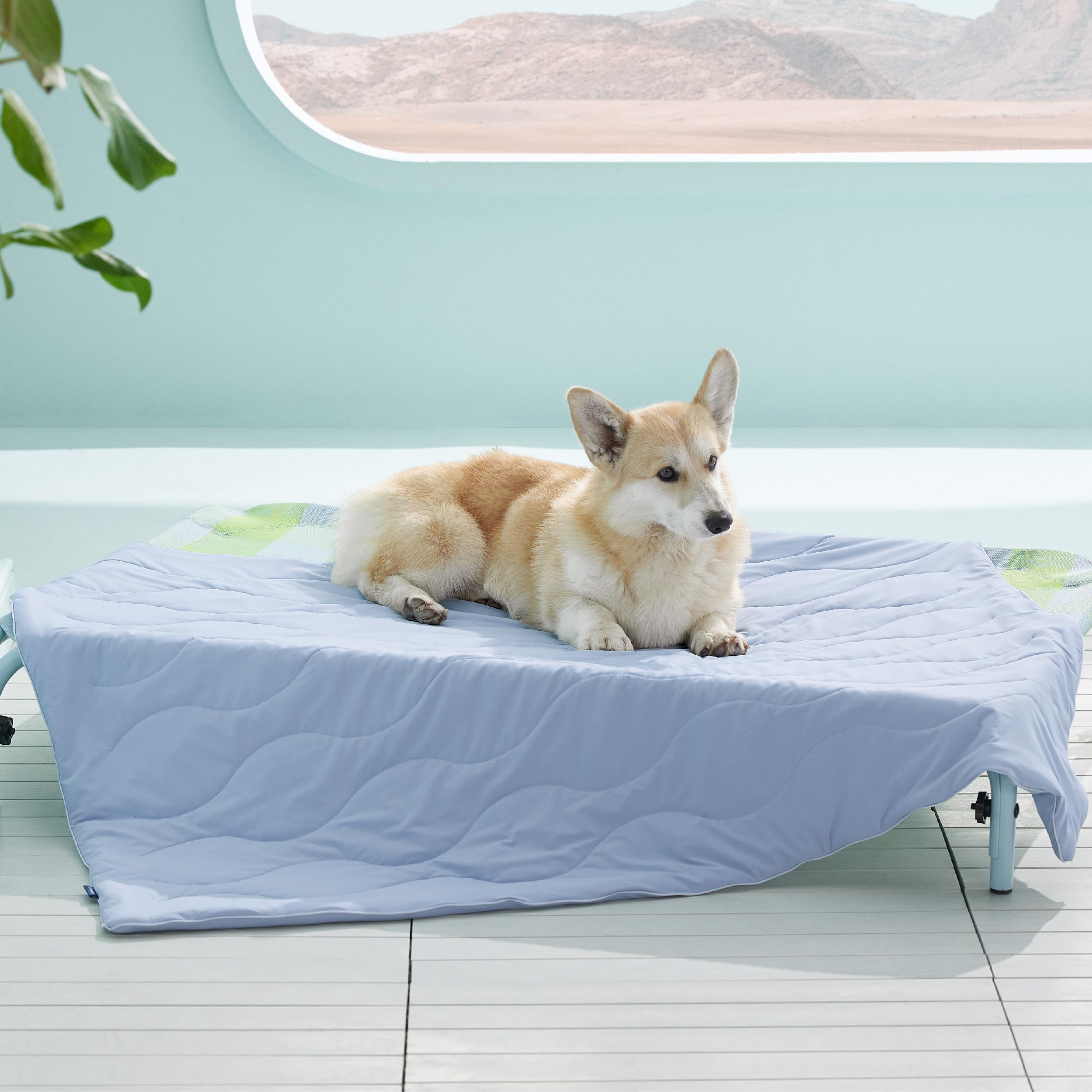 Photo 1 of Bedsure Premium Cooling Blanket for Large Dog - Q-MAX>0.5, Breathable Summer Washable Cold Pet Mat, Soft Durable Self Cooling Dog Mat for Hot Weather, Powder Blue, 40x50