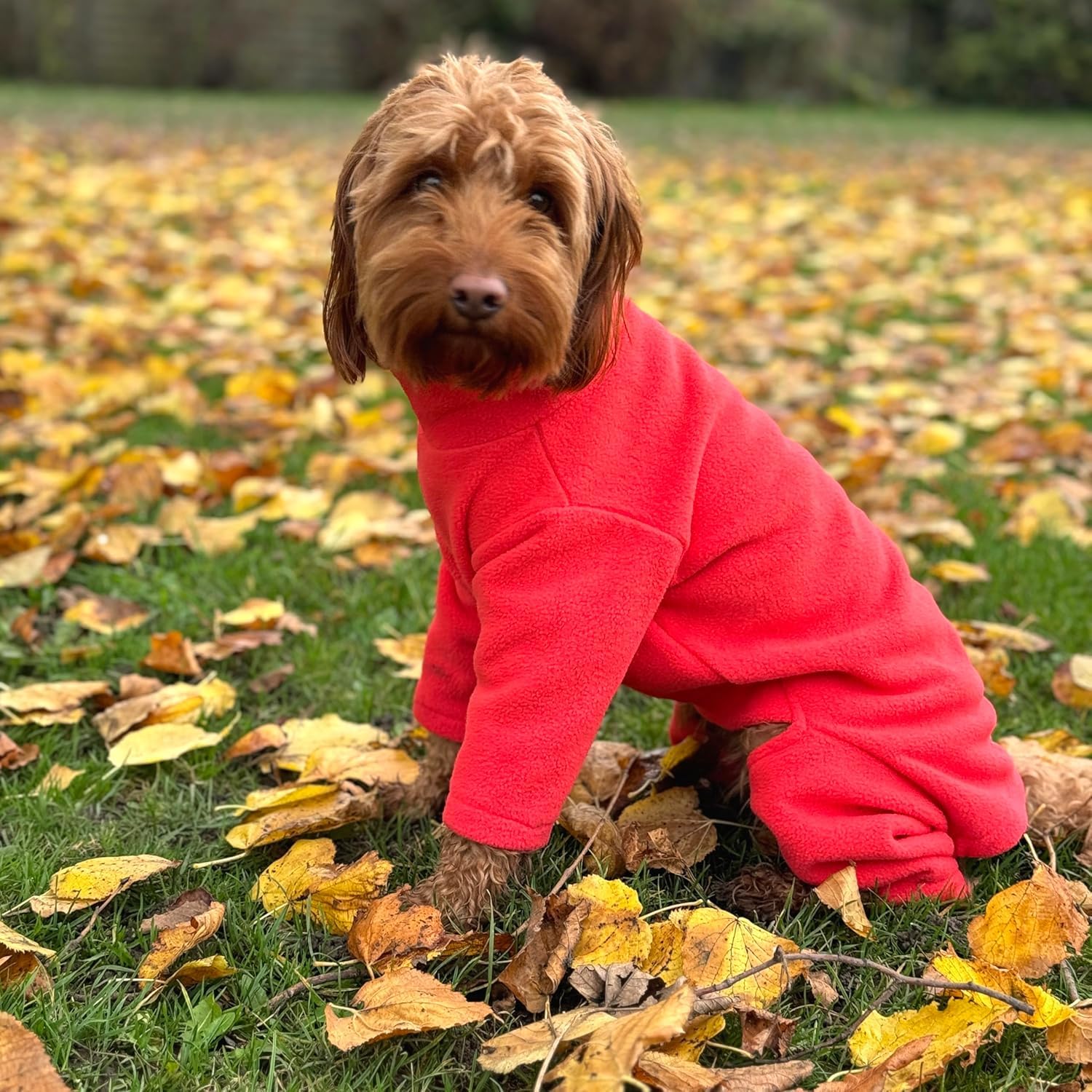 pet wiz Warm Four-Legged Dog Fleece – Super Soft, Weather-Resistant, Available in a Range of Sizes and Colours (Coral, Small)