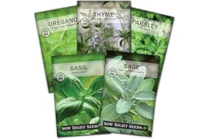Sow Right Seeds - Italian Herb Garden Seed Collection for Planting - Basil, Oregano, Parsley, Sage, and Thyme - Non-GMO Heirloom Packet with Instructions to Grow a Kitchen Garden Indoors or Outdoors