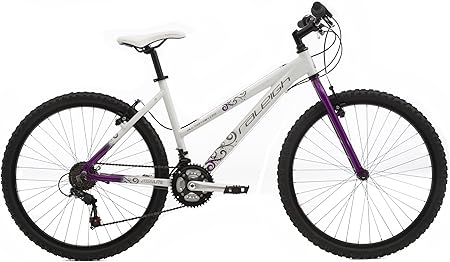 Raleigh terrain 20 Clearance